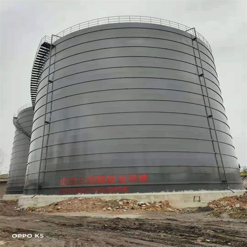 东兰3万吨大型钢板库